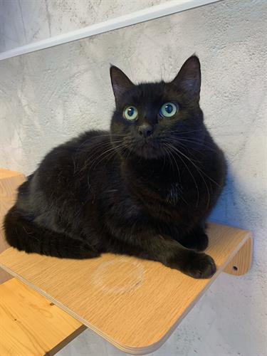 Gallery Image image0.jpeg