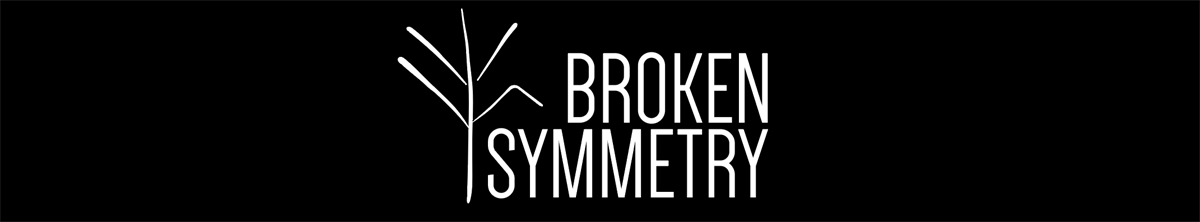 Broken Symmetry