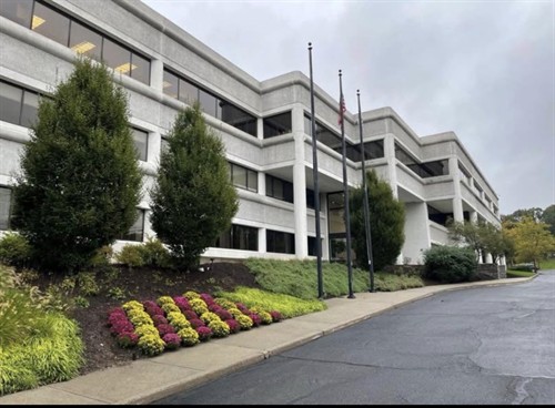 Gallery Image IMG_1981.jpg