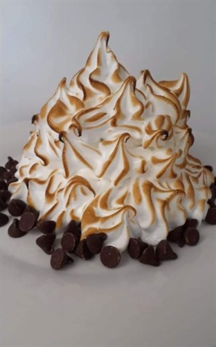 Baked Alaska - Yellow Cake - Vanilla Swirl Ice cream 