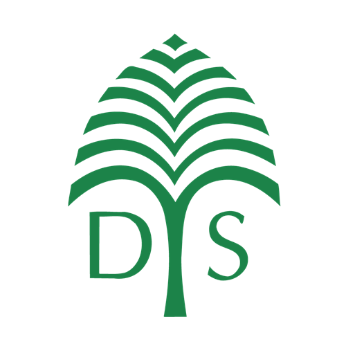 Gallery Image DYS_Logo.png