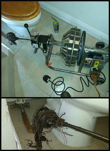 Gallery Image v_max_plumbing_2.png Gallery Image v_max_plumbing_2.png