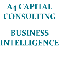 A4 CAPITAL CONSULTING