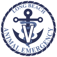 Long Beach Animal Emergency