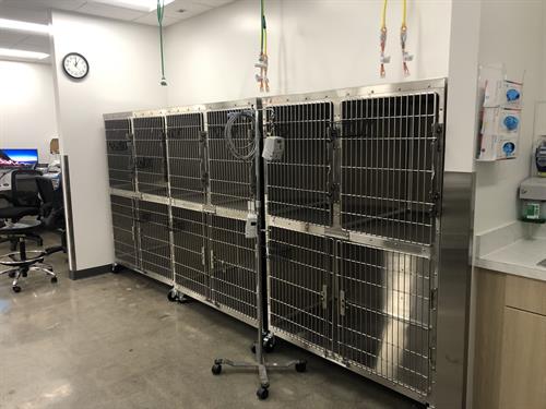 New Kennel Space in our ICU