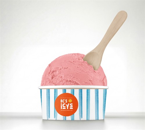BC'S ICYS Fresh Scoops for any event !