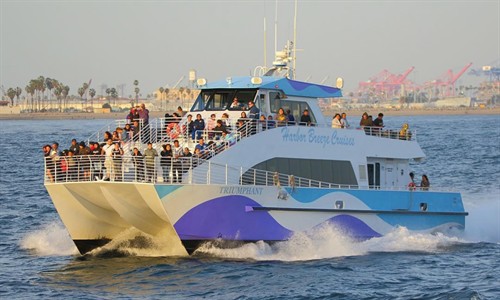 Harbor Cruises