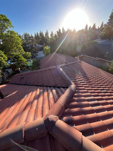 Gallery Image 12.jpg