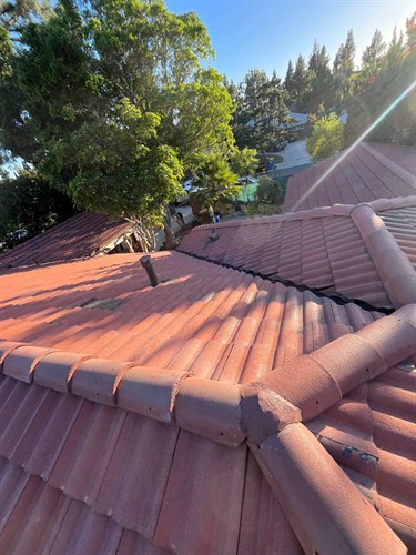 Gallery Image IMG_3878.JPG