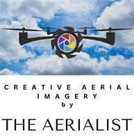 The Aerialist