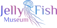 Jellyfish Museum
