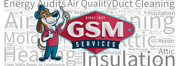 GSM Services