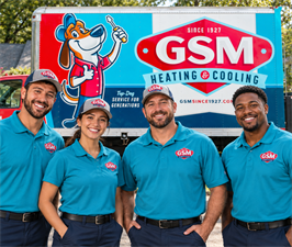 GSM Services GSM Services