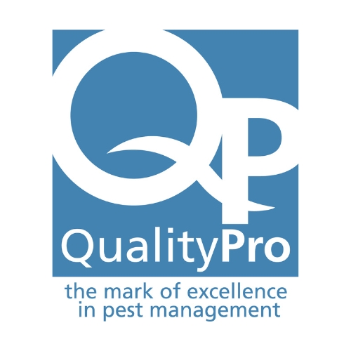 Gallery Image QP_Logo_500x500.jpg