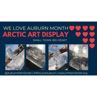 Auburn's Arctic Art Display