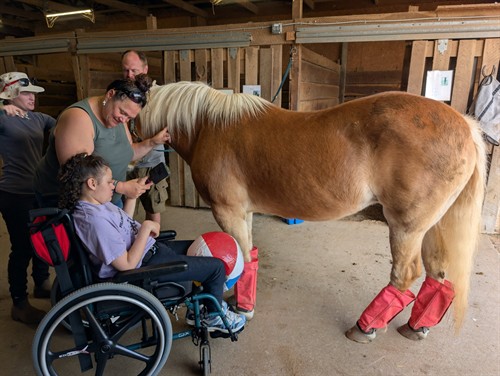 Gallery Image bingo6.jpg