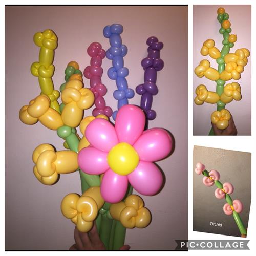 Daisy, Gladiolus, Flower Stalk, Orchid. Balloon Animals Palm Beach design. Daisy, Gladiolus, Flower Stalk, Orchid. Balloon Animals Palm Beach design.