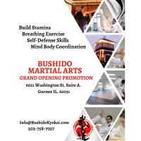 BUSHIDO MARTIAL ARTS GRAND OPENING BY LAKE COUNTY CHAMBER OF COMMERCE 