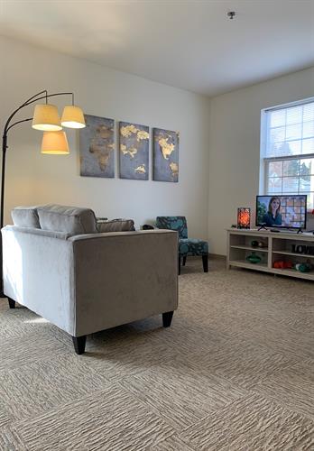 Deluxe 1 bedroom apartment -living room