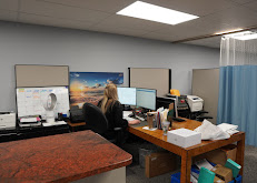 The woman behind the curtain