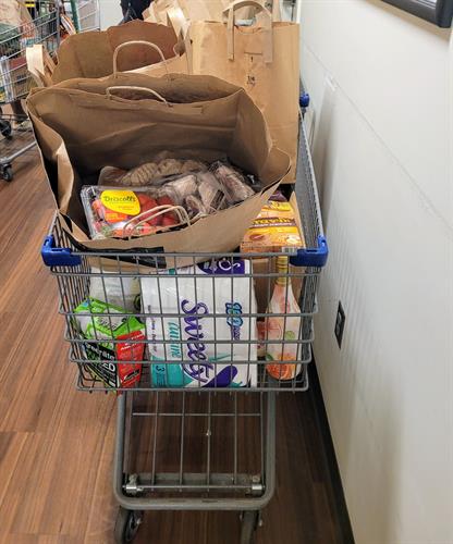 Grocery cart with 90 lbs of healthy food