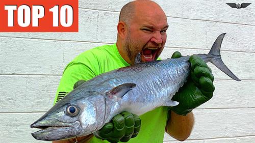 10 Best Fish To Eat Video