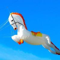 One Sky One World International Kite Fly for Peace