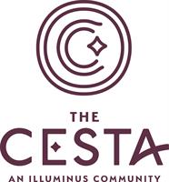 Bites & Insights - An Introduction to The Cesta