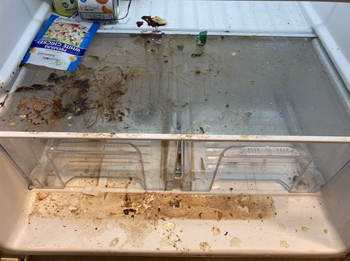 Refrigerator-Before