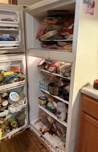 Refrigerator-Before