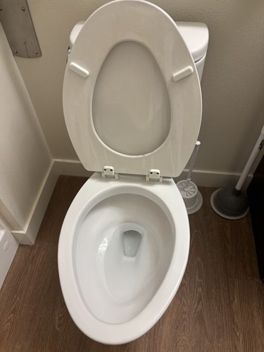 Toilet-After