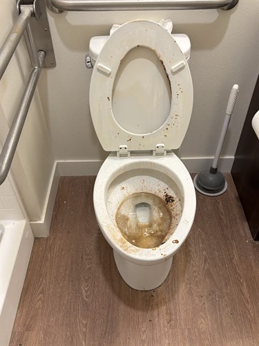 Toilet-Before