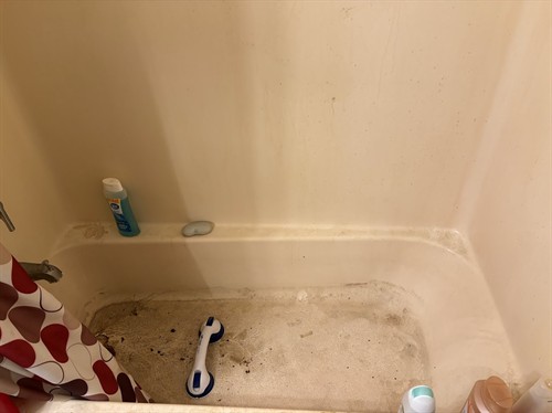 Tub-Before