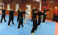 Children Beginner Karate/Martial Arts classes (Ages 6-12 )