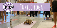 Turtle Yoga at Second Chances Wildlife Center