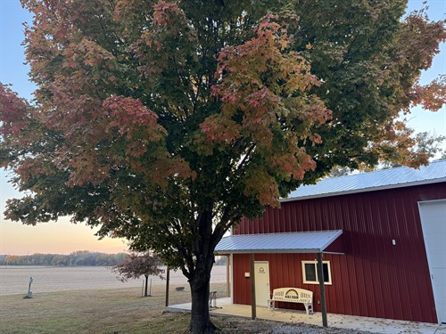 Gallery Image IMG_8420.jpeg