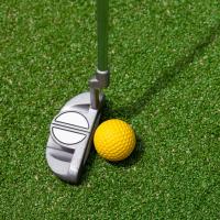 Networking Experience: Indoor Mini-Golf & Lunch