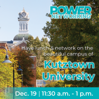 Power Networking - (Dec 2024)