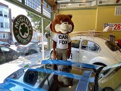 Car Fox in the showroom