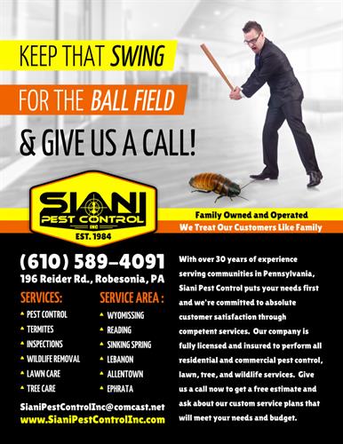 Gallery Image BaseballAdLarge.jpg