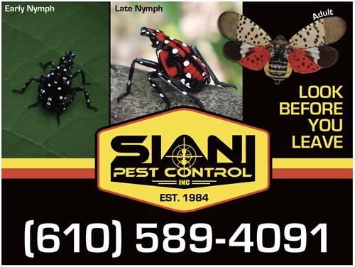 Lanternflies be gone!