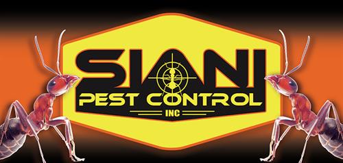 Gallery Image SianiPestControlAnts_3-15A.jpg