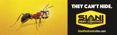 No pest can hide from us