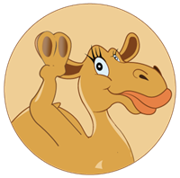 The Camel Project
