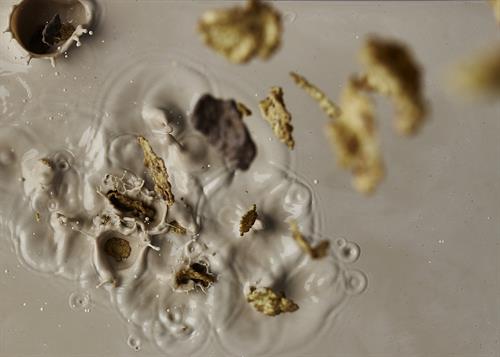 Gallery Image Cereal_Drop.jpg Gallery Image Cereal_Drop.jpg