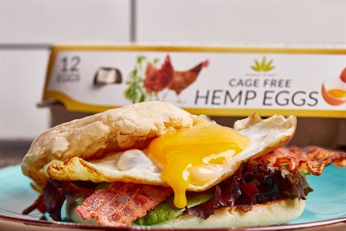 Gallery Image Hemp_Egg_English_Muffin_macro.jpg Gallery Image Hemp_Egg_English_Muffin_macro.jpg