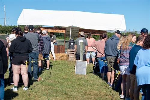 a picture of our setup/ how popular the cows are at events.