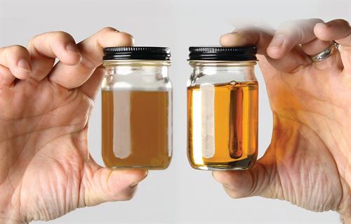 Filta Recycles Cooking Oil!  Judge for Yourself the Results!