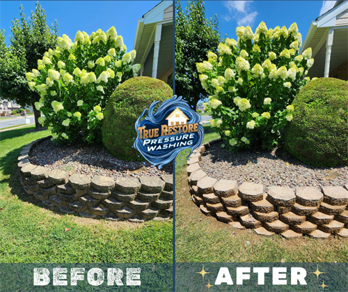 retaining wall cleaning