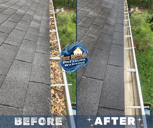 gutter cleaning